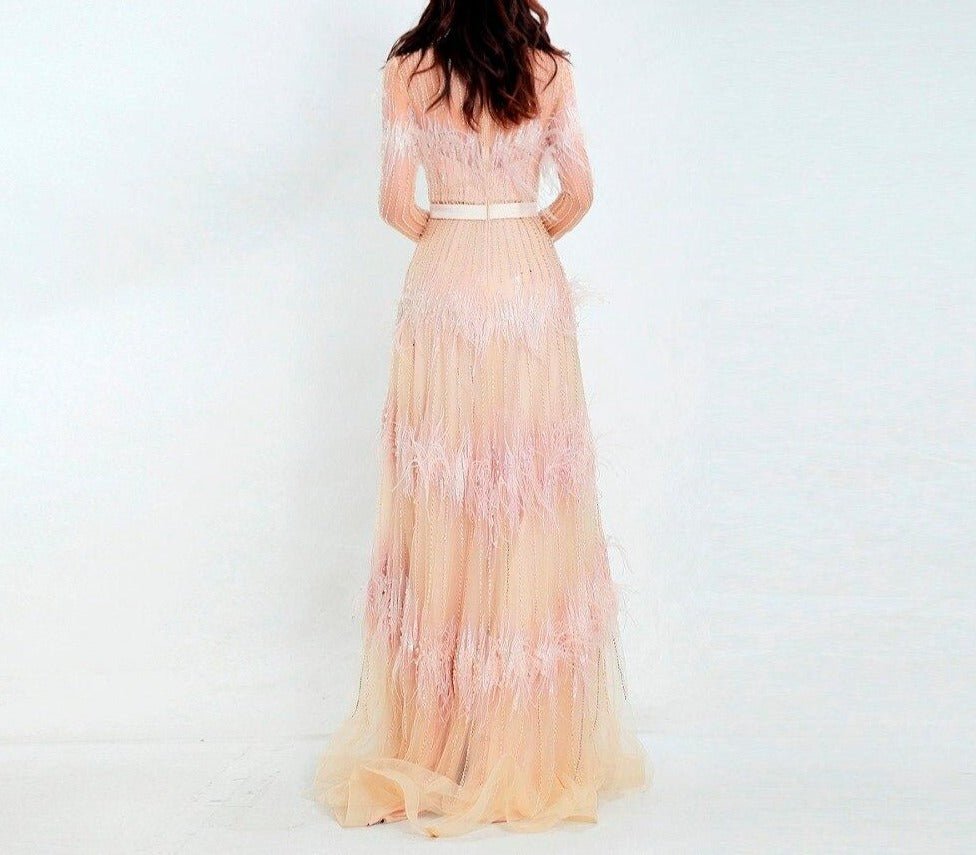 Aveline Luxury Illusion beaded Feathers Evening Dress - Mscooco.co.uk