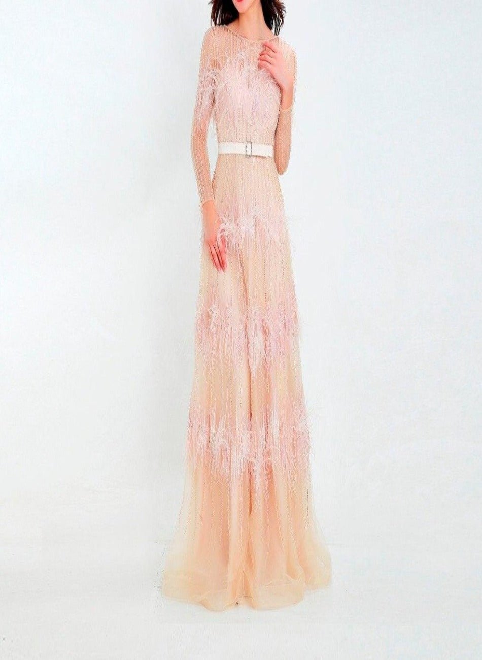 Aveline Luxury Illusion beaded Feathers Evening Dress - Mscooco.co.uk