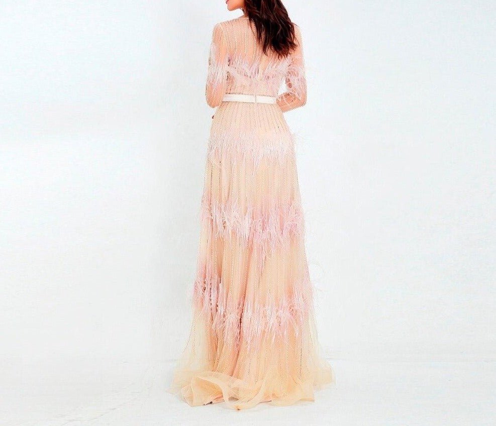Aveline Luxury Illusion beaded Feathers Evening Dress - Mscooco.co.uk