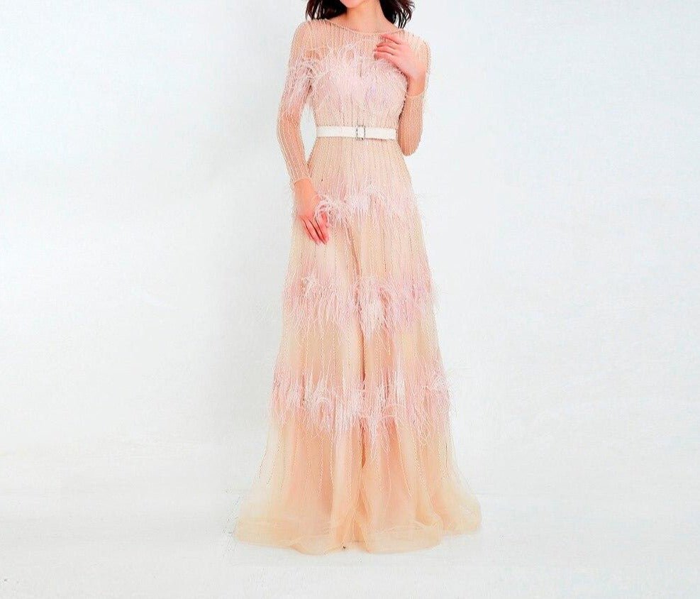 Aveline Luxury Illusion beaded Feathers Evening Dress - Mscooco.co.uk
