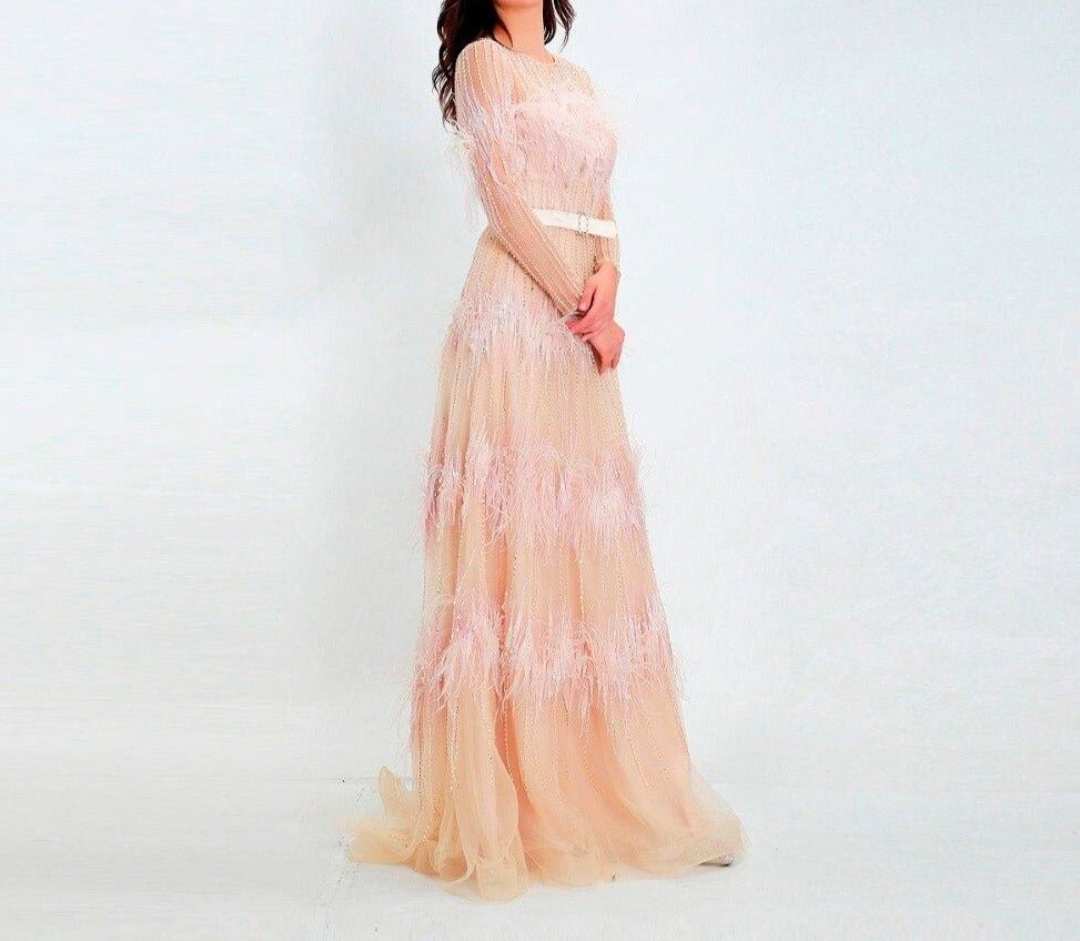 Aveline Luxury Illusion beaded Feathers Evening Dress - Mscooco.co.uk
