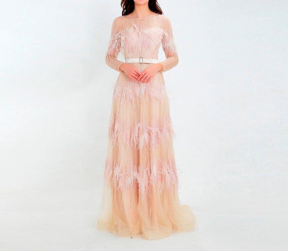Aveline Luxury Illusion beaded Feathers Evening Dress - Mscooco.co.uk