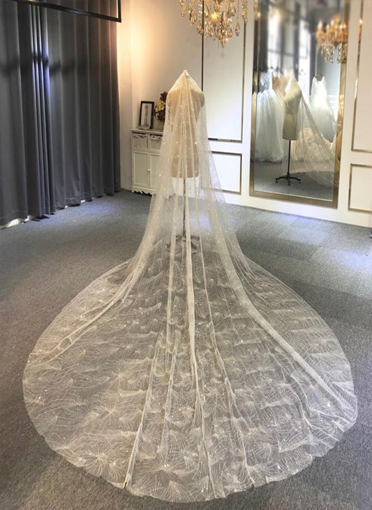Luxury Long lace sparkling wedding veil Mscooco.co.uk