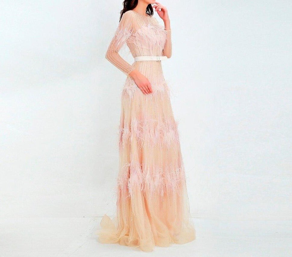 Aveline Luxury Illusion beaded Feathers Evening Dress - Mscooco.co.uk