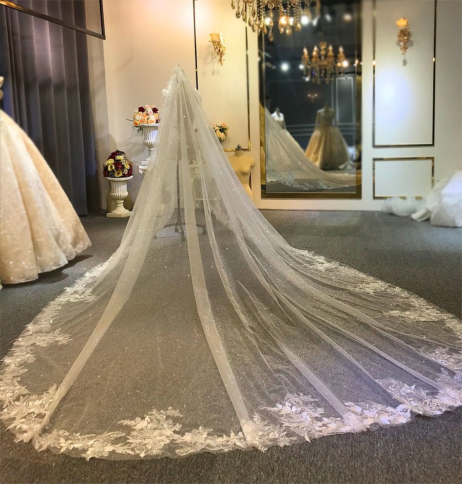 Luxury Long Train Wedding Veil 2020 - Mscooco.co.uk