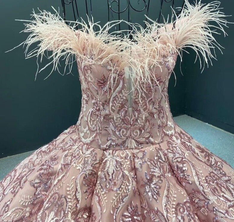 Pink High-end Feathers Sequins Bridal Gown - Mscooco.co.uk